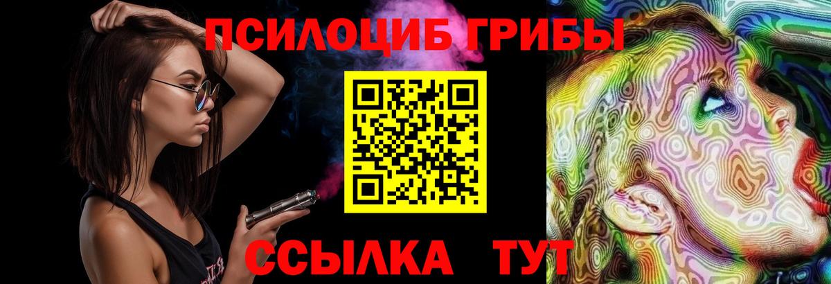 Галлюциногенные грибы Cubensis Печора