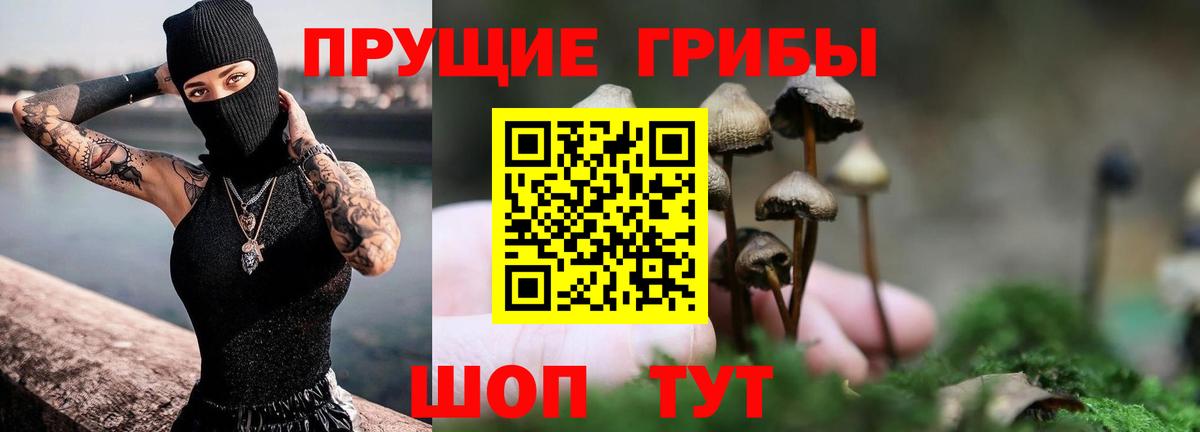 Псилоцибиновые грибы GOLDEN TEACHER  Галлюциногенные грибы Cubensis  Печора  Вход с VPN 